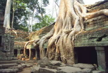 Taprohm Temple