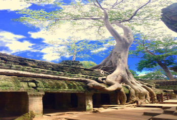 Angkor Siem Reap Travel Tours
